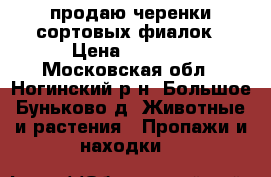 продаю черенки сортовых фиалок › Цена ­ 50-80 - Московская обл., Ногинский р-н, Большое Буньково д. Животные и растения » Пропажи и находки   